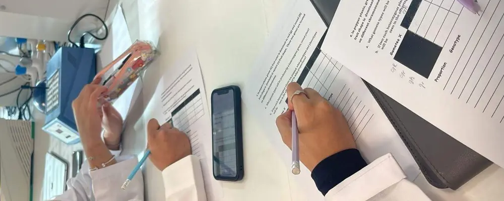چرا پروانه سبز گمرکی اهمیت دارد